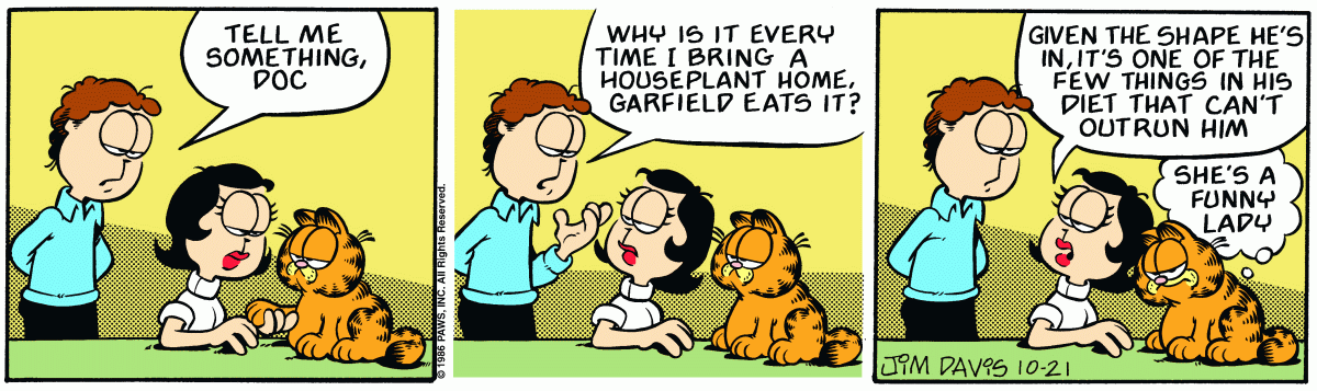 Garfield, October 21, 1986