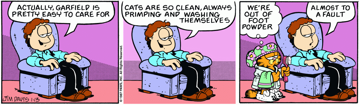 Garfield, January 13, 1987