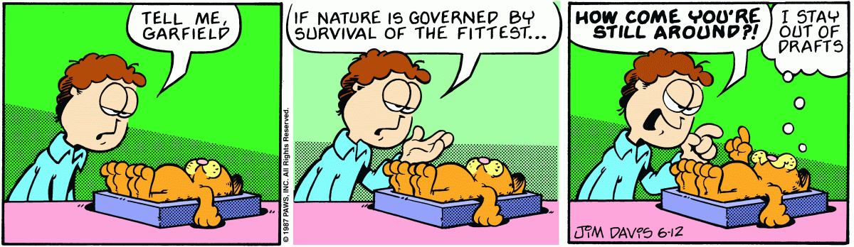 Garfield, June 12, 1987