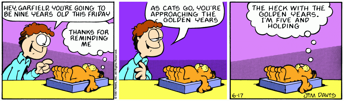 Garfield, June 17, 1987