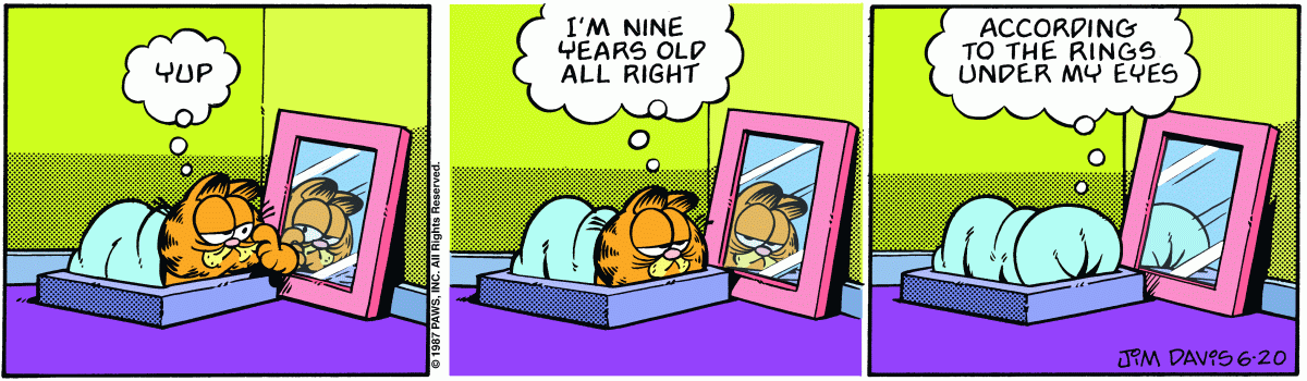 Garfield, June 20, 1987