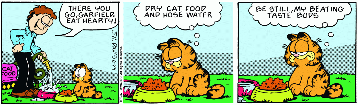 Garfield, June 24, 1987