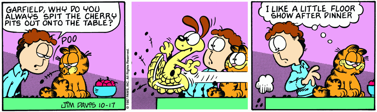 Garfield comic strip for Saturday, October 17, 1987