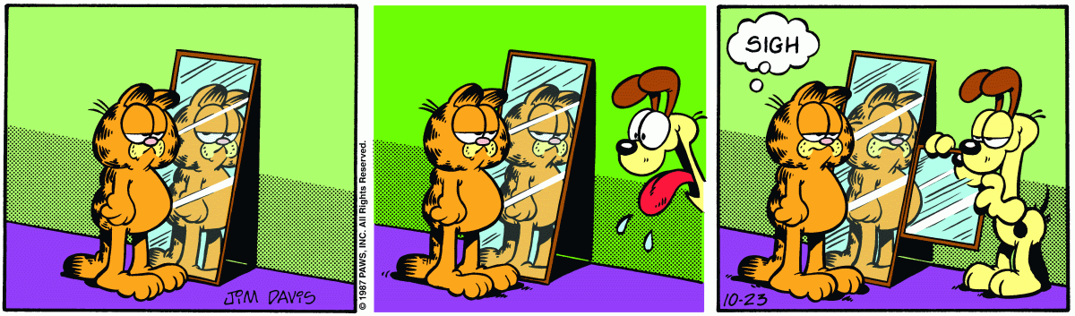 Garfield comic strip for Friday, October 23, 1987