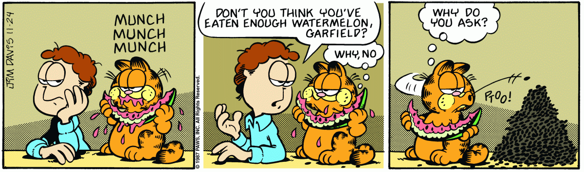 Garfield comic strip for Tuesday, November 24, 1987