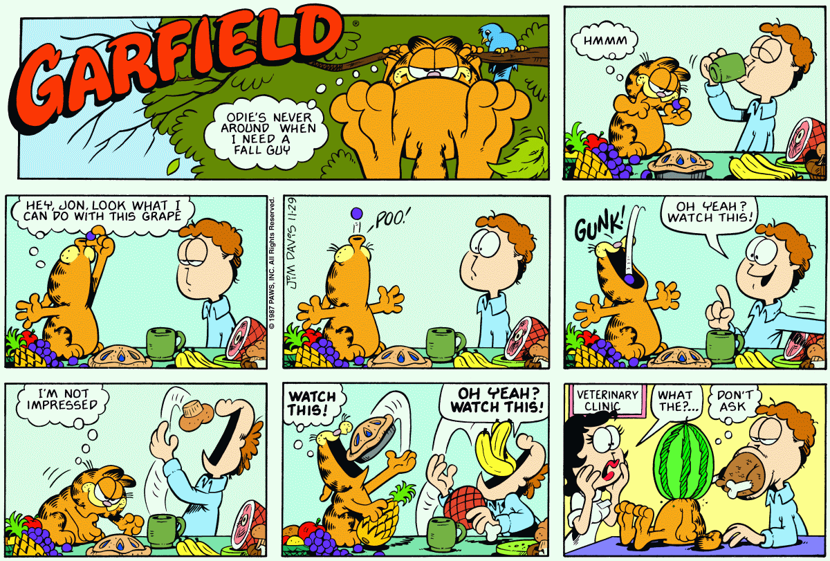 Garfield comic strip for Sunday, November 29, 1987