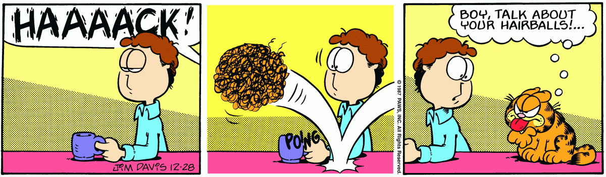 Garfield, December 28, 1987