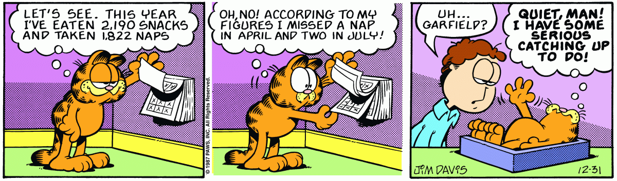 Garfield, December 31, 1987