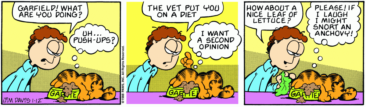 Garfield, January 12, 1988