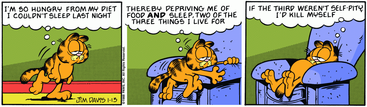 Garfield, January 13, 1988