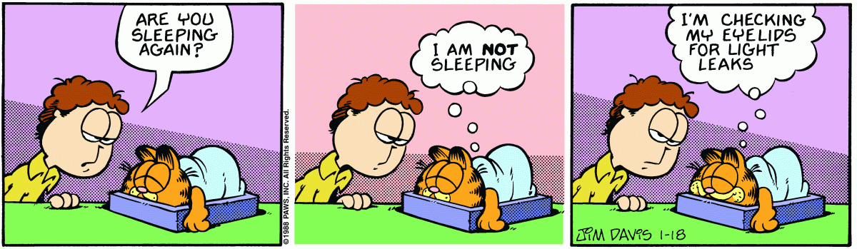 Garfield, January 18, 1988