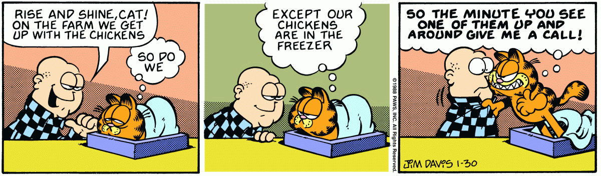 Garfield, January 30, 1988