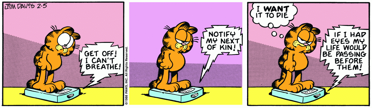 Garfield, February 5, 1988