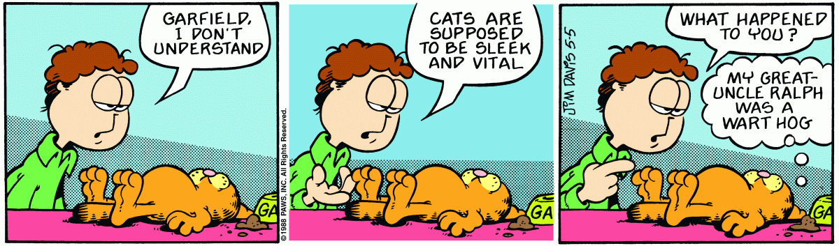 Garfield, May 5, 1988