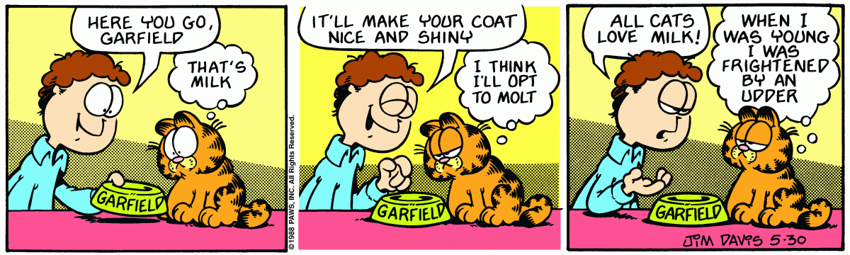 Garfield, May 30, 1988