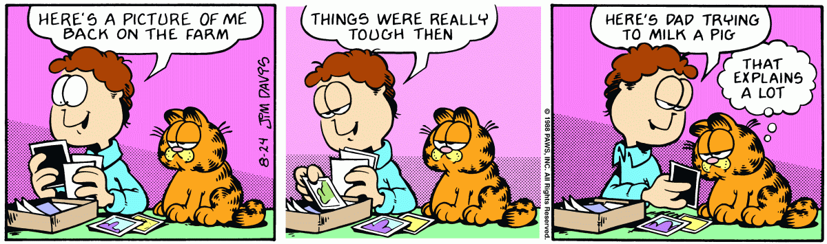 Garfield, August 24, 1988