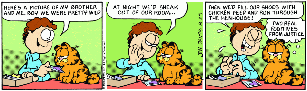 Garfield, August 25, 1988