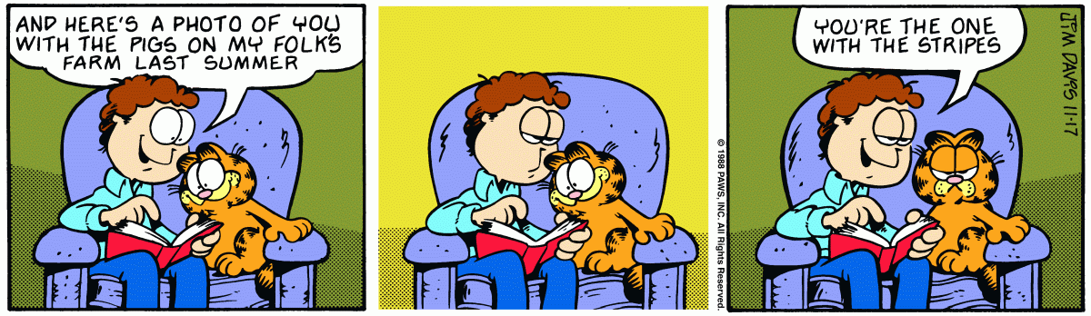 Garfield, November 17, 1988