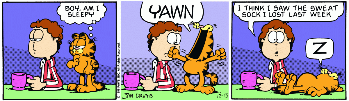 Garfield, December 13, 1988