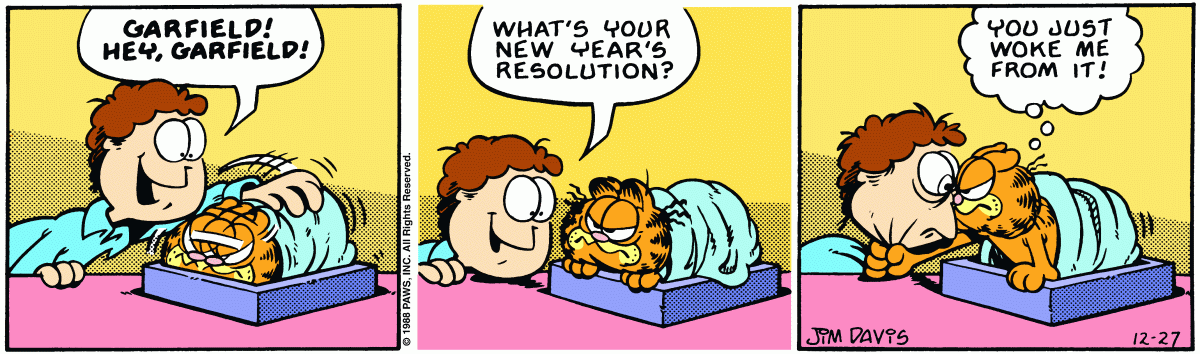 Garfield, December 27, 1988