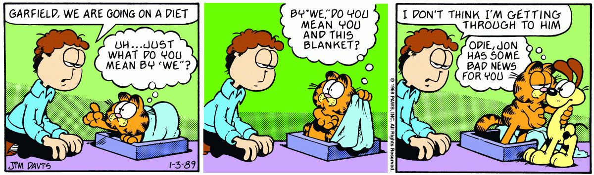 Garfield, January 3, 1989