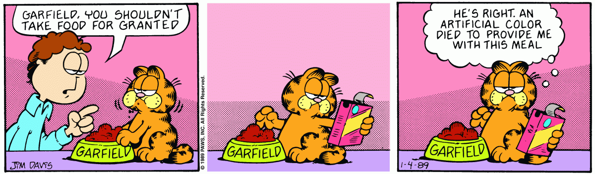 Garfield, January 4, 1989