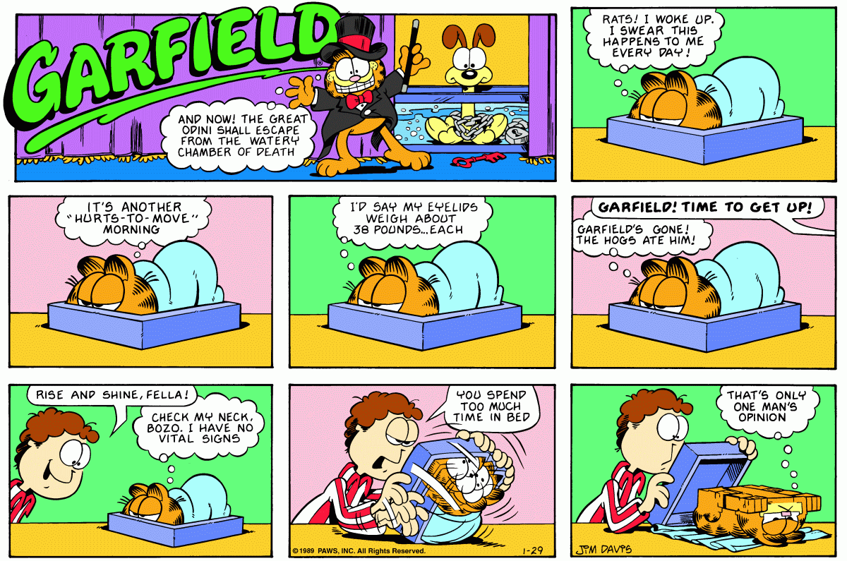 Garfield, January 29, 1989