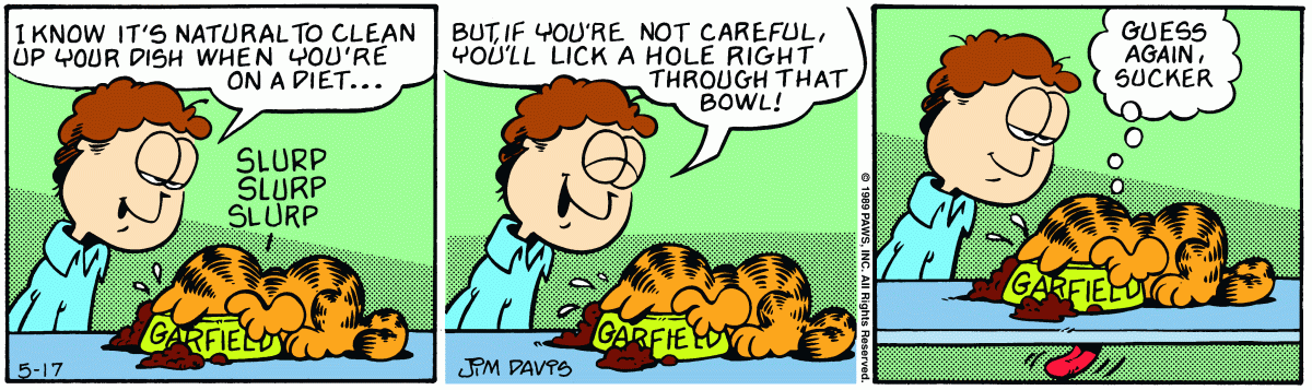Garfield, May 17, 1989