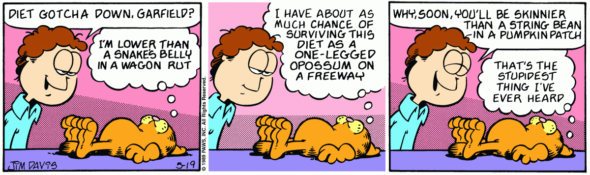 Garfield, May 19, 1989