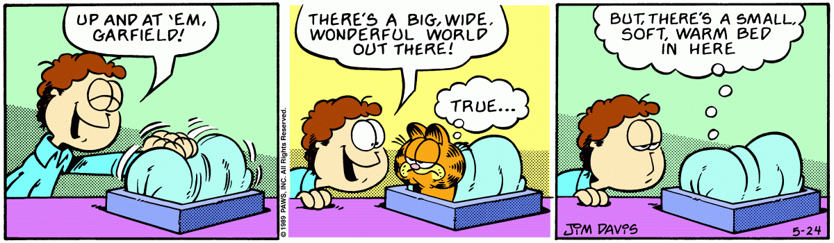 Garfield, May 24, 1989