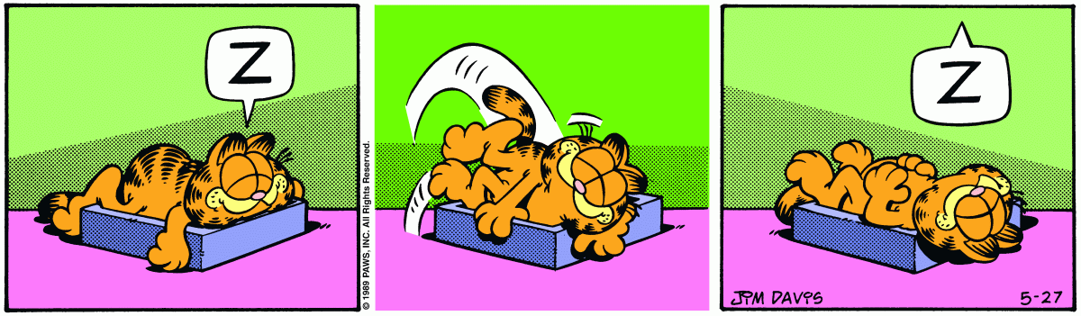 Garfield, May 27, 1989