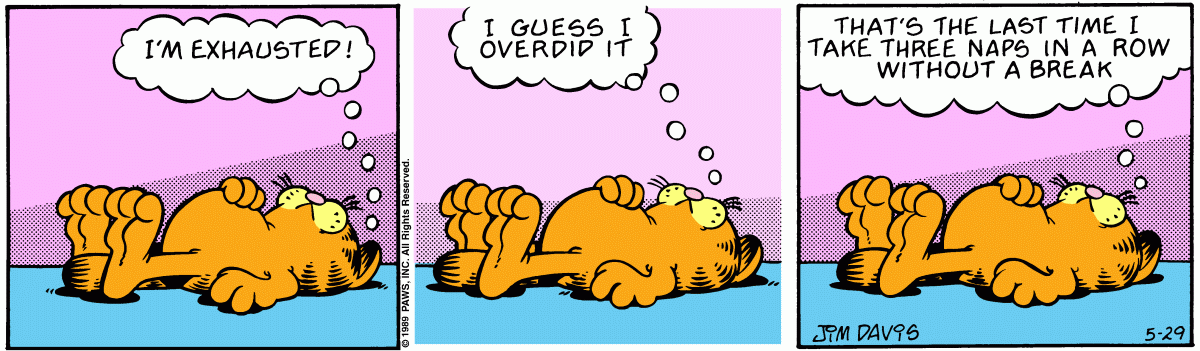 Garfield, May 29, 1989