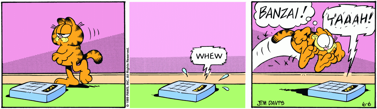 Garfield, June 6, 1989