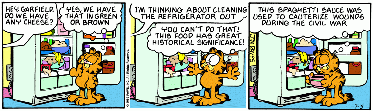 Garfield, July 3, 1989