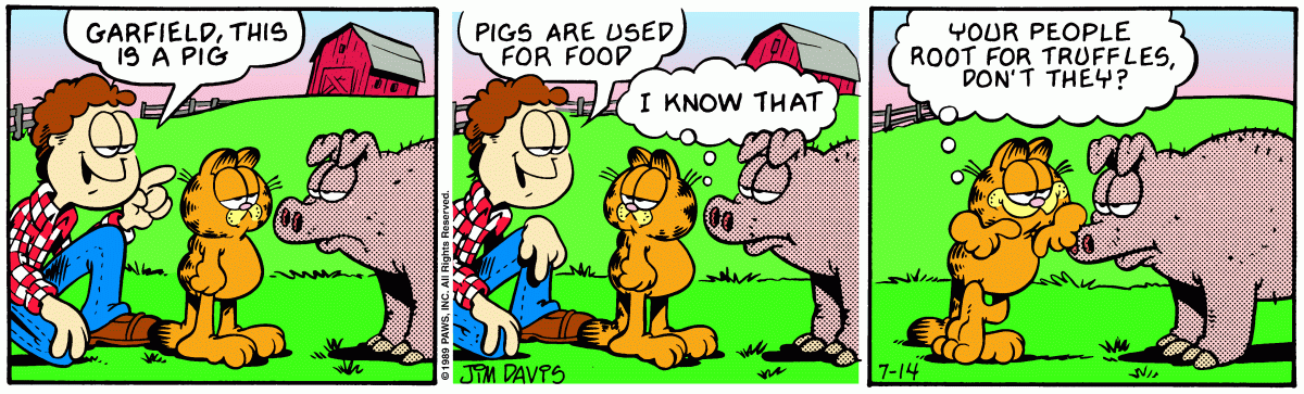 Garfield, July 14, 1989