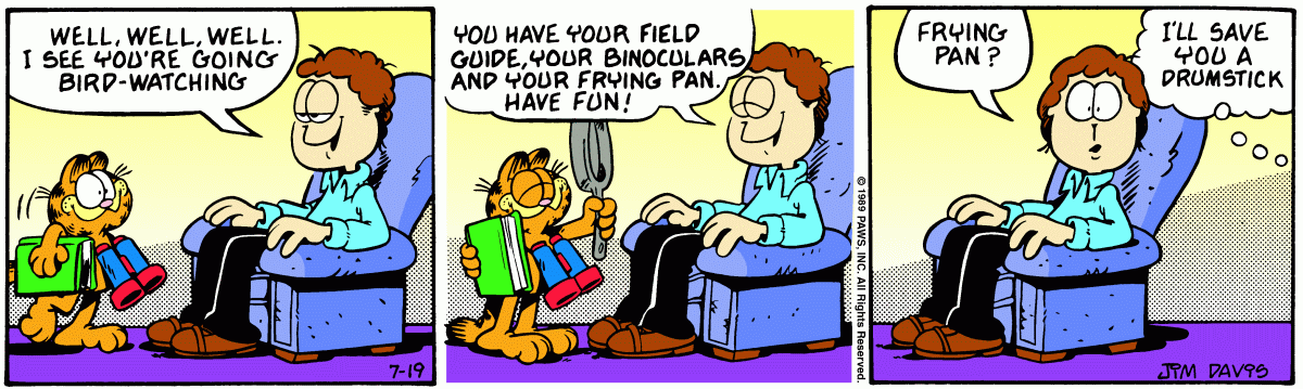 Garfield, July 19, 1989