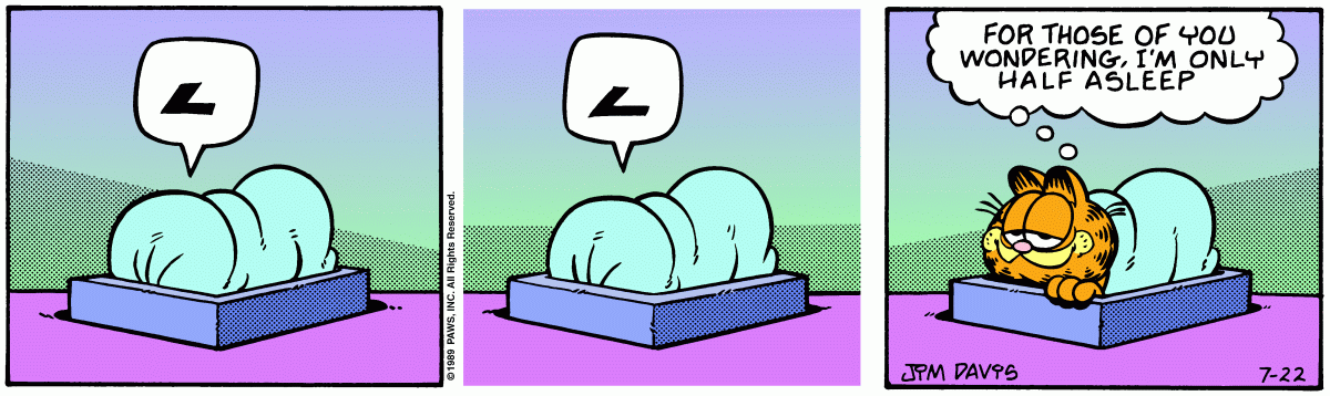 Garfield, July 22, 1989