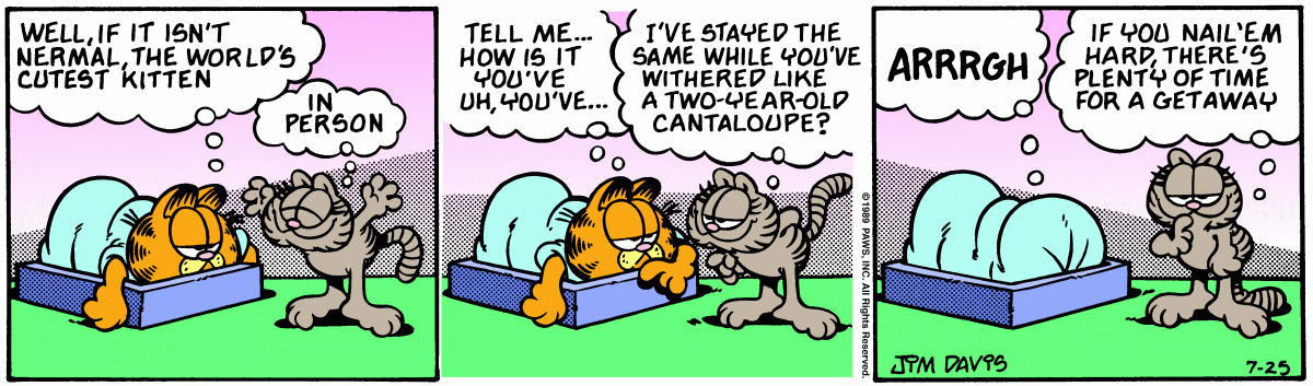 Garfield, July 25, 1989
