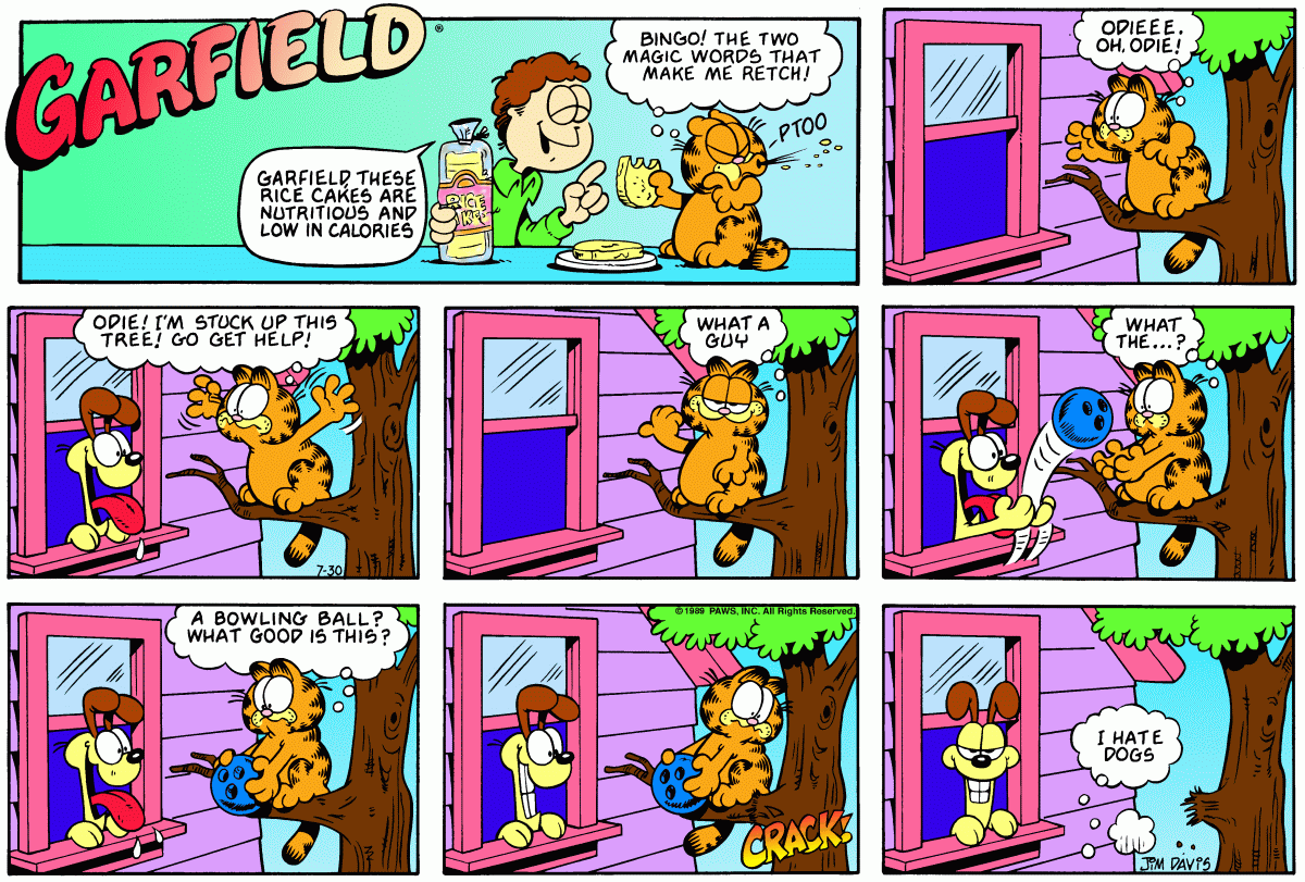 Garfield, July 30, 1989