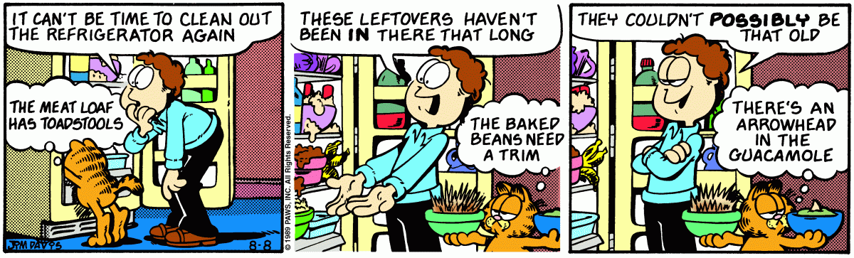 Garfield, August 8, 1989