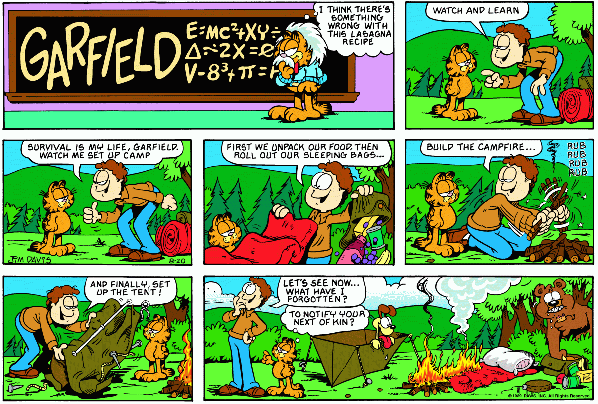 Garfield, August 20, 1989