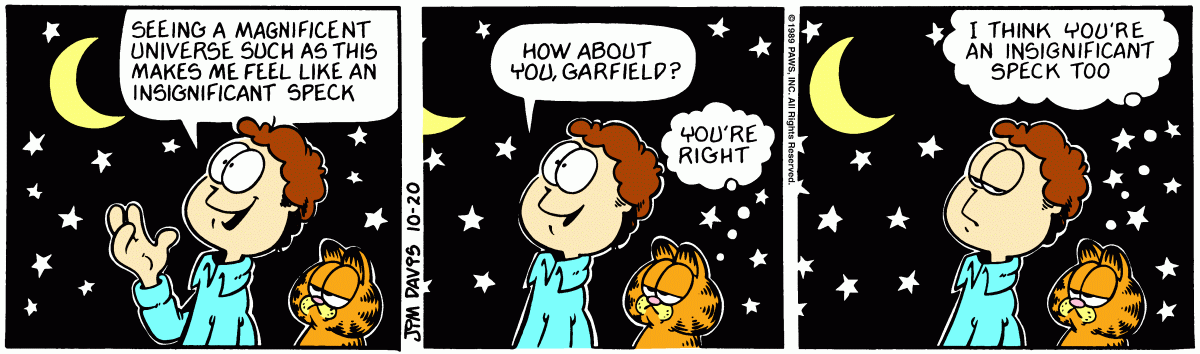 Garfield, October 20, 1989