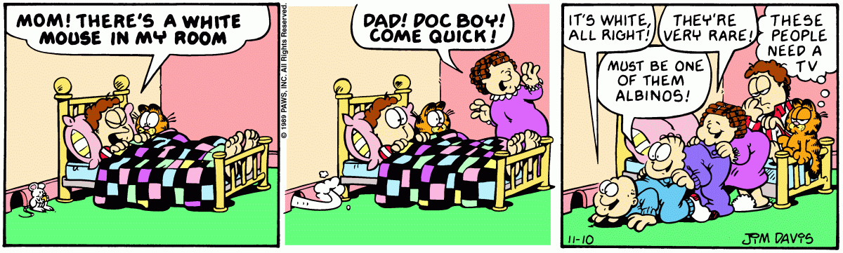 Garfield, November 10, 1989