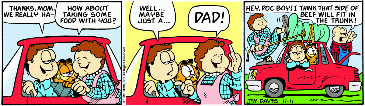 Garfield, November 11, 1989