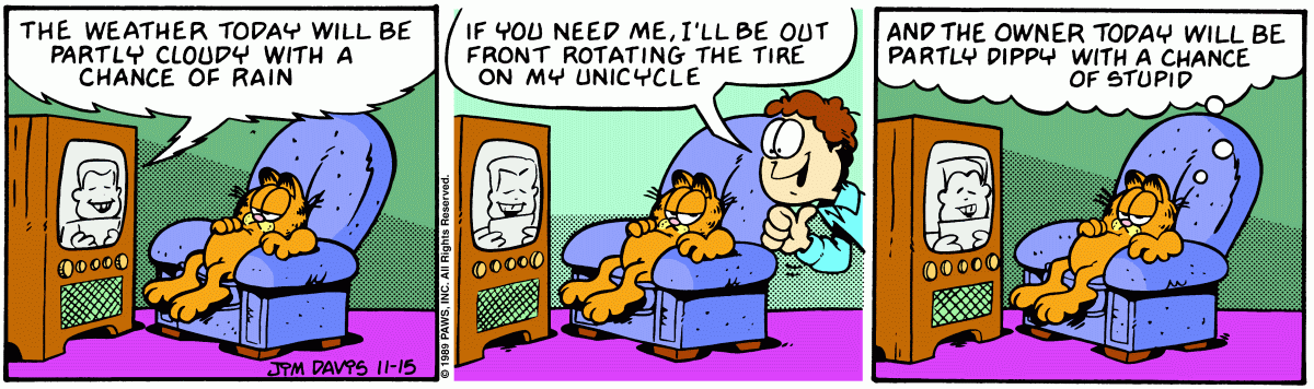 Garfield, November 15, 1989
