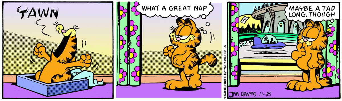 Garfield, November 18, 1989