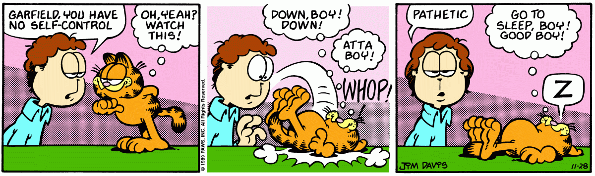 Garfield, November 28, 1989