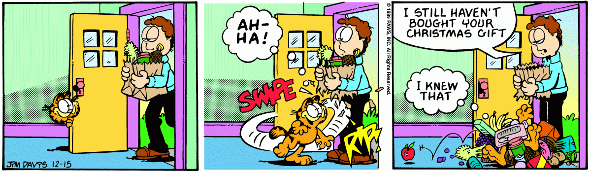 Garfield, December 15, 1989