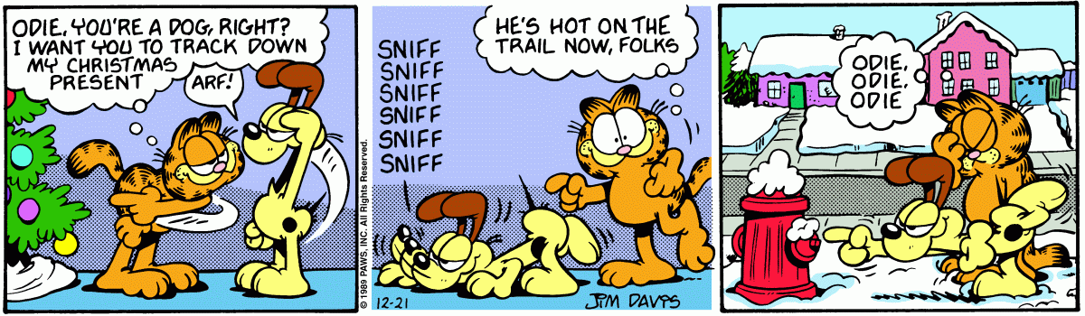 Garfield comic strip for Thursday, December 21, 1989
