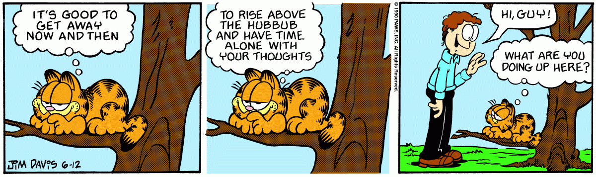 Garfield, June 12, 1990